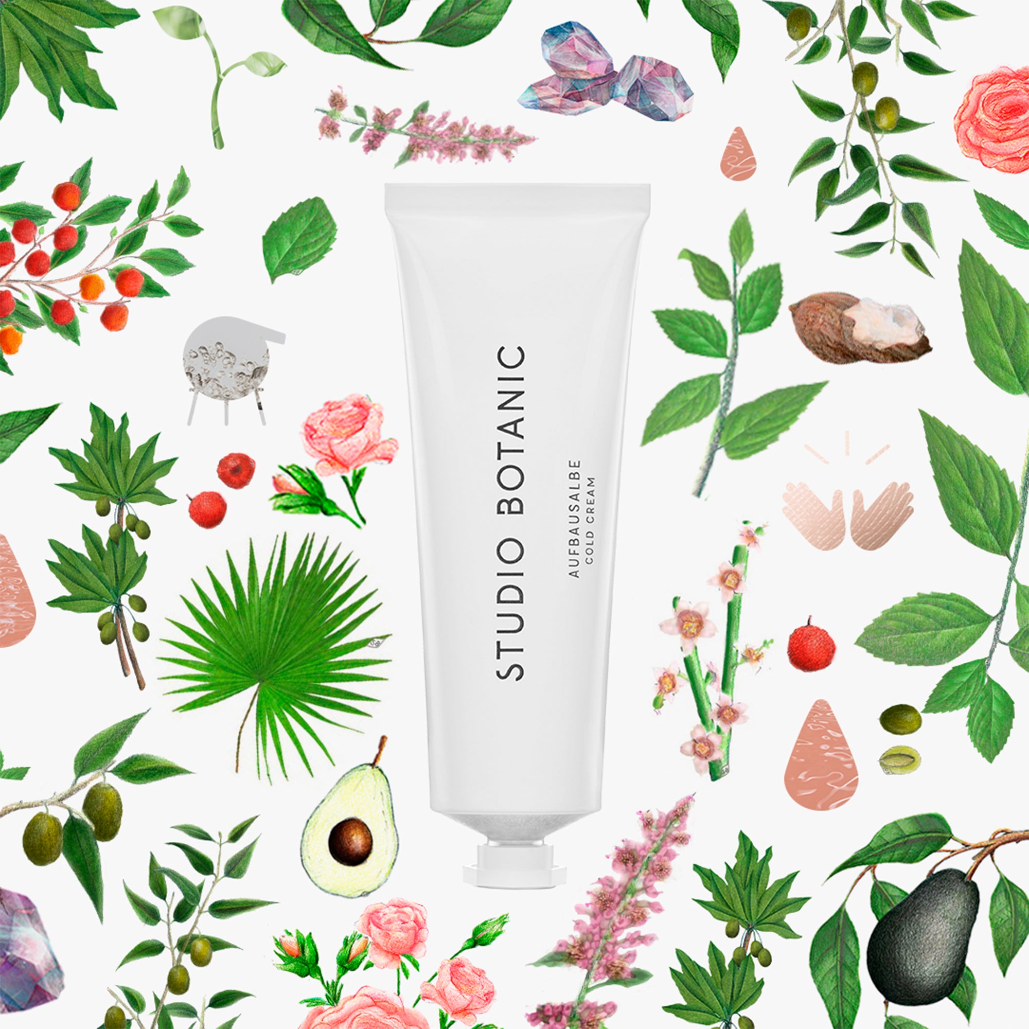 STUDIO BOTANIC Cold Cream 50 ml